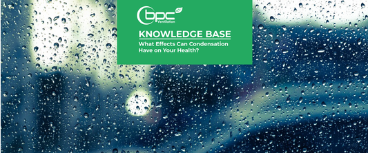 What Effects Can Condensation Have on Your Health?