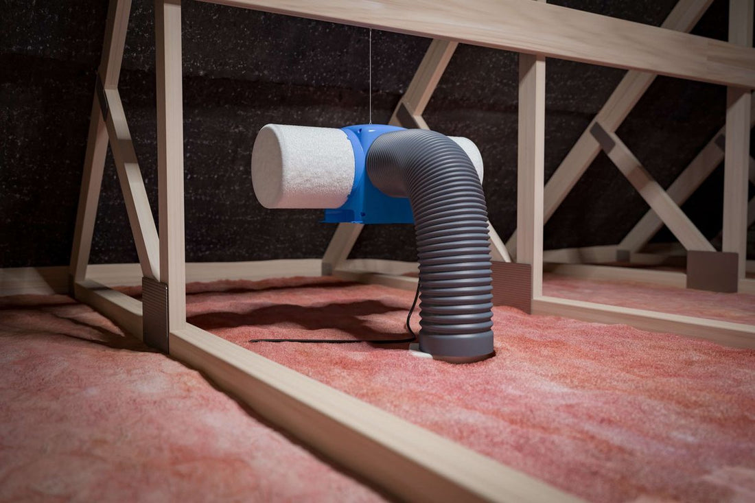 Ventilation system in rental property improving indoor air quality and preventing damp and mould
